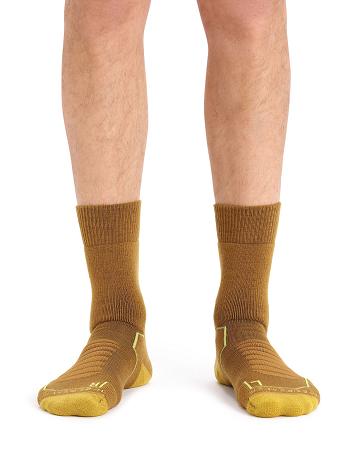 Clove / Silent Gold Men's Icebreaker Merino Hike+ Heavy Crew Socks | USA 1019AHKP